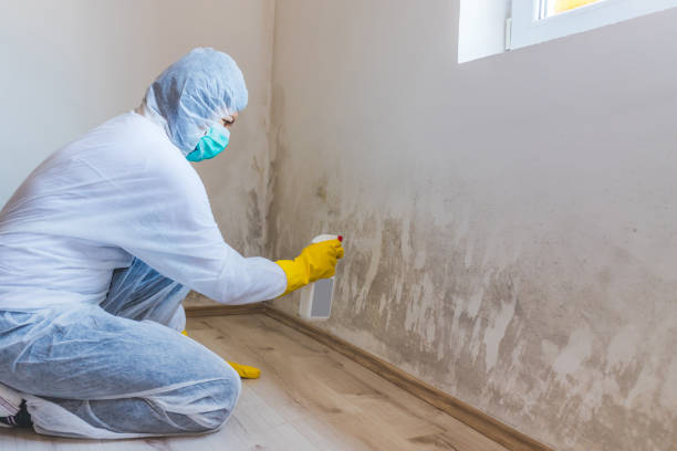 Hvac And Air Duct Mold Remediation inspection of HVAC system in Parkton